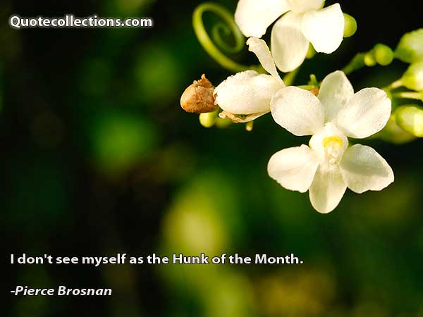 Pierce Brosnan Quotes2